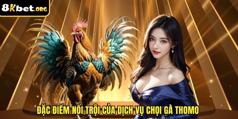 Đặc điểm nổi trội của dịch vụ chọi gà thomo&nbsp;