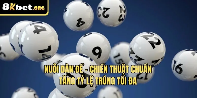 nuôi dàn đề